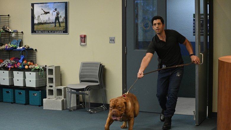 Turner Et Hooch Streaming Vf voir Turner & Hooch saison 1 episode 1 en streaming cinema - VFstreami