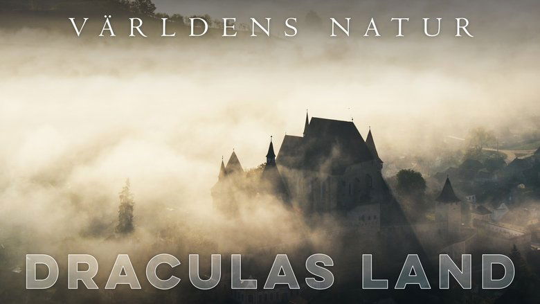 Gallery image from tUeJJ6296oGsvKfm4CvmkKDoCqY.jpg