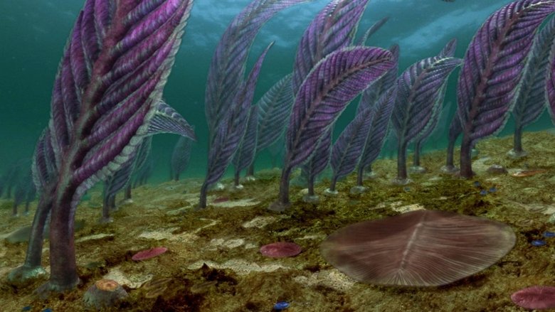 Still image for Australia's First 4 Billion Years season 1 episode 2: Life Explodes Still image for Australia's First 4 Billion Years season 1 episode 2: Life Explodes