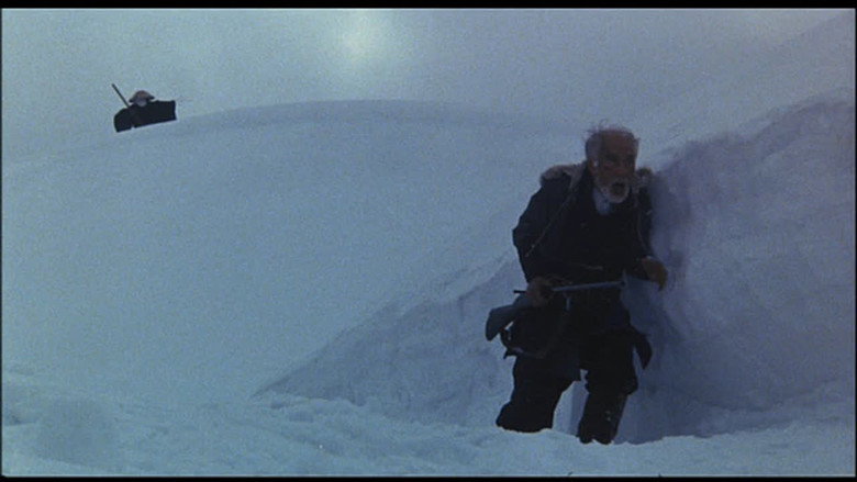 The Old Bear Hunter — image 11