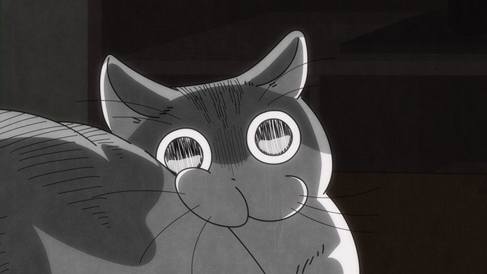Still image for Nights with a Cat season 1 episode 25: Night 25: Trying to Make the Cat Look Back