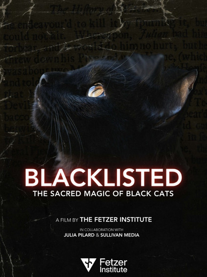 Blacklisted (2025)