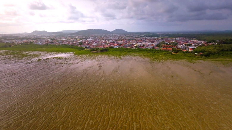 Image d'arrière-plan 10 du film Aux origines, l'esclavage