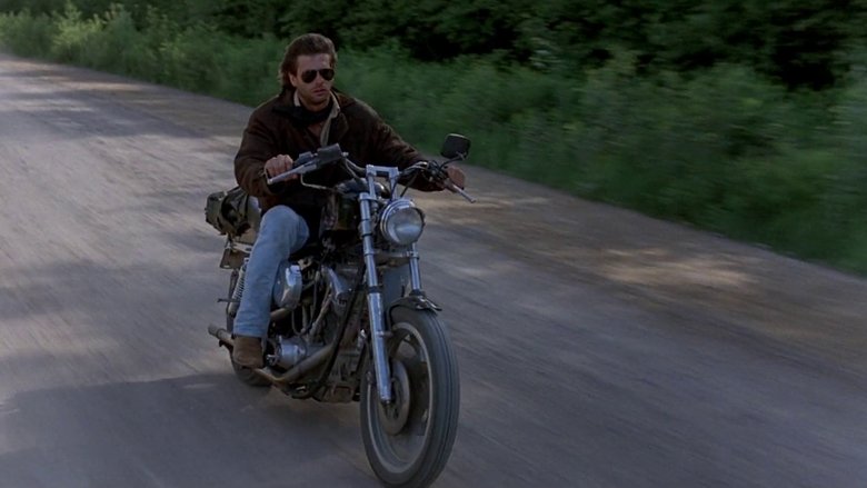 Gallery image from tW9VMIkWZYTe2sWk3ataQ3Xt4AW.jpg