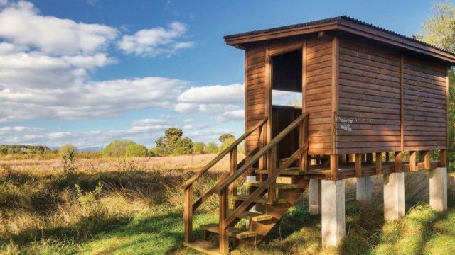 Still image for The National Geographic Guide to Birding in North America season 1 episode 7: Tactics for Better Birding