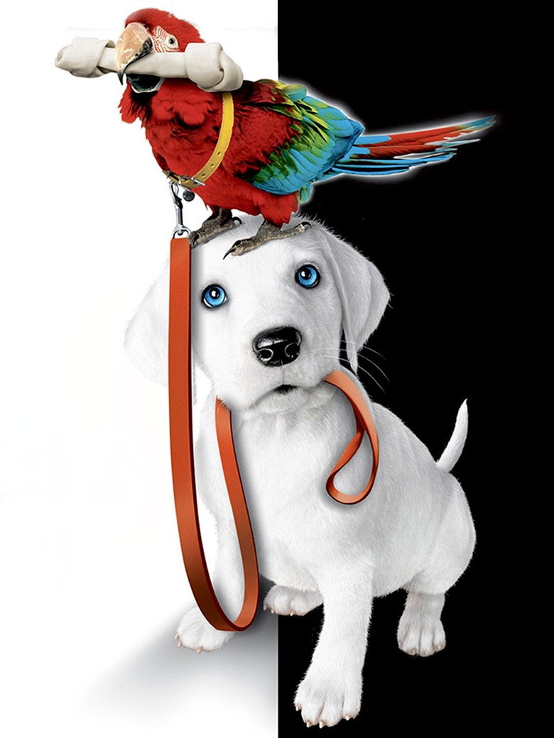 Imatge de 102 Dalmatians