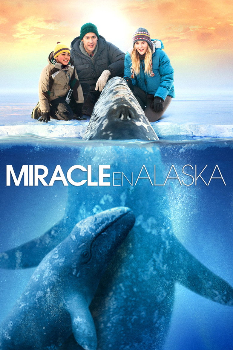 Póster la Película