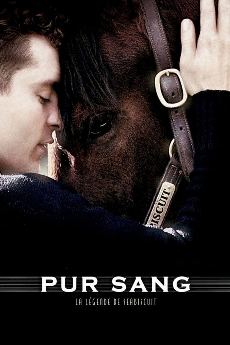 Póster la Película