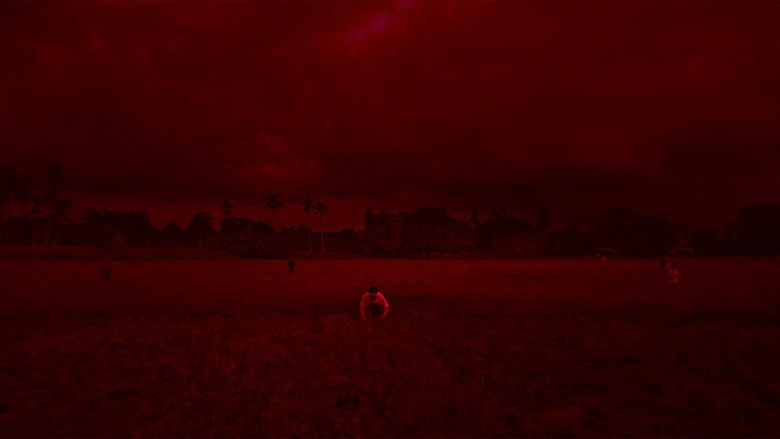 Gallery image from tYuR38VUAJHzDPdaDgI9ggbyGZc.jpg