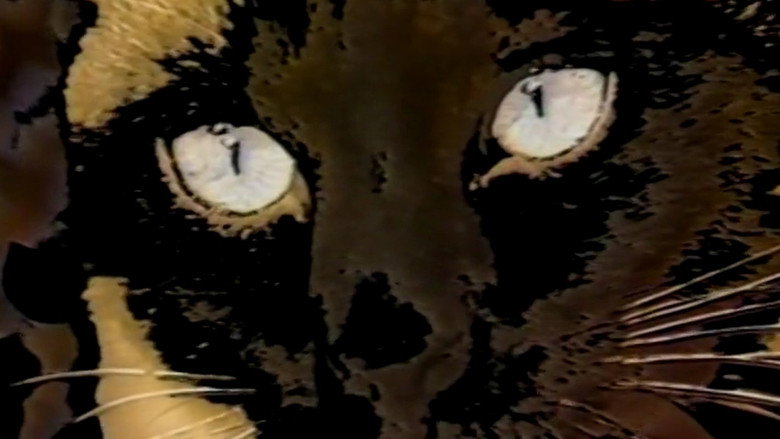 Imatge de Duo des Chats