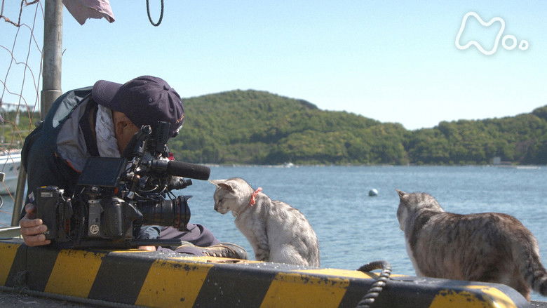 Still image for Mitsuaki Iwago's World “Cats” Travelogue season 1 episode 129: Fukui Still image for Mitsuaki Iwago's World “Cats” Travelogue season 1 episode 129: Fukui