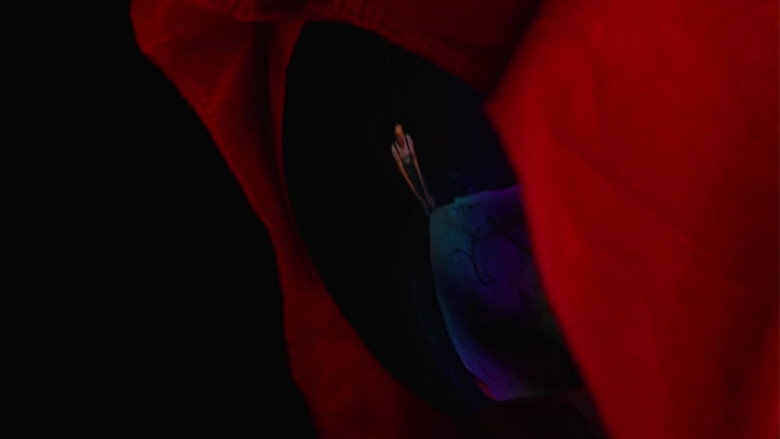 Gallery image from tbWXXJDQtn1ySIP9KgZWDP4s9zk.jpg