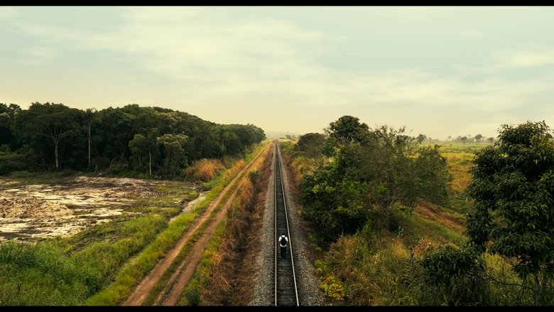 I Wait for You (2024)