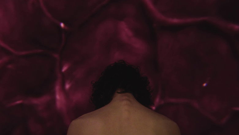 Gallery image from tbi5nCxrDuX7DDQw18GwB6WKBQb.jpg