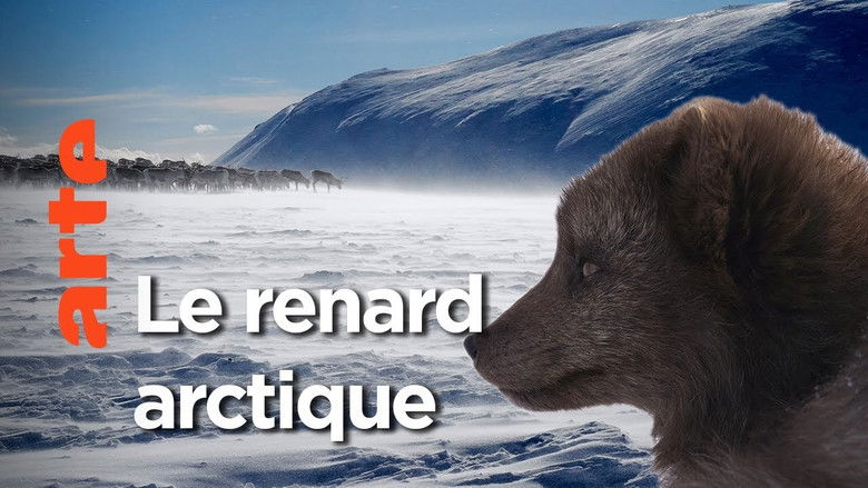 Still image for Terres sauvages du Grand Nord season 1 episode 1: Episode 1