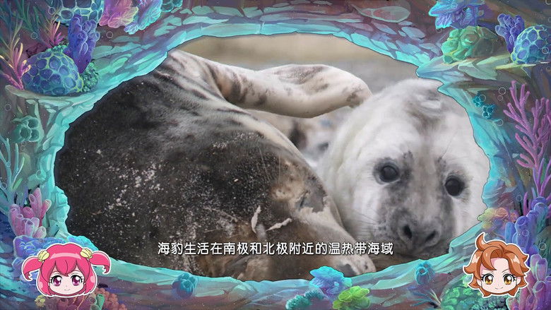 Still image for 巴啦啦小魔仙魔法海洋馆 season 1 episode 8: Episode 8