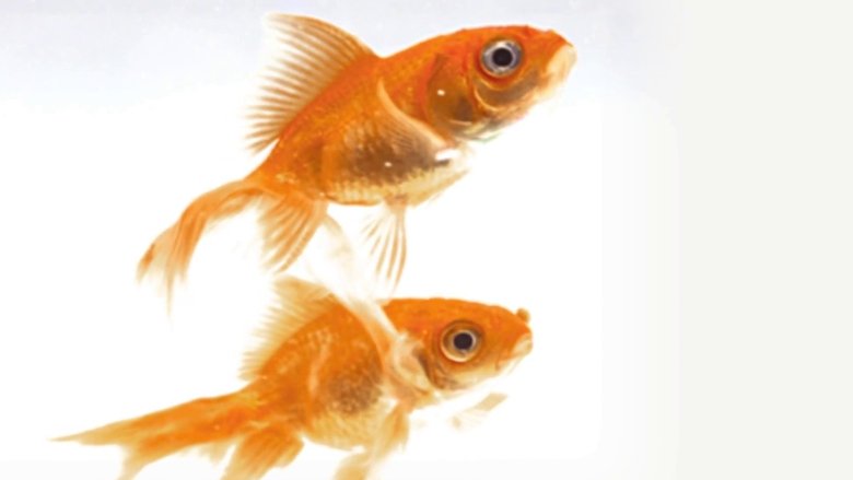 Gallery image from tcTL9qKuJTjywcgLZ64RiuT2xnj.jpg