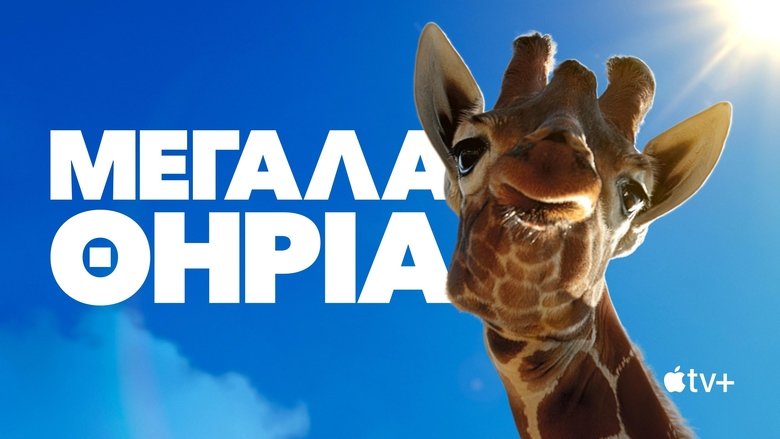 Gallery image from teOVhmtcMJgwUfPRzCNzFyCv4nW.jpg