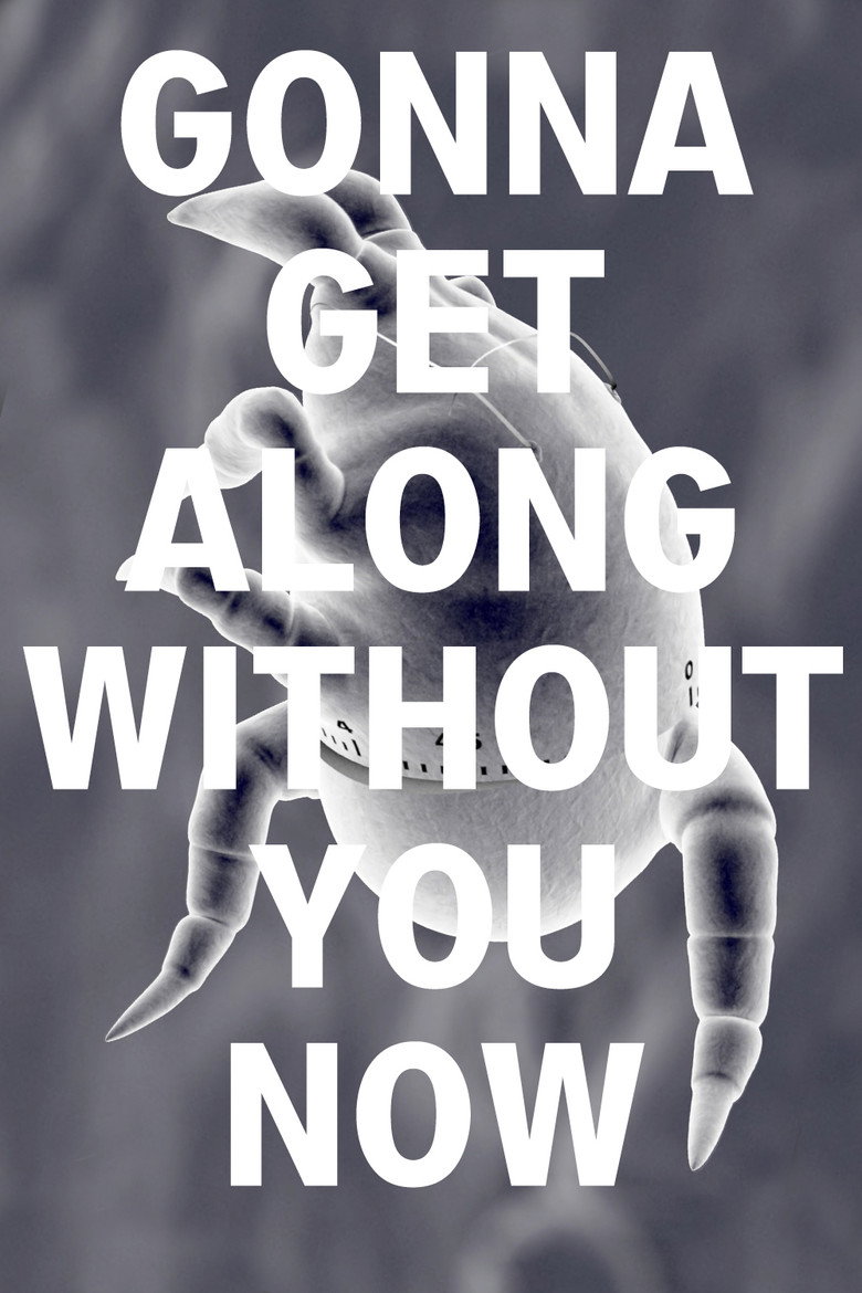 Imatge de Gonna Get Along Without You Now (Dustmite)