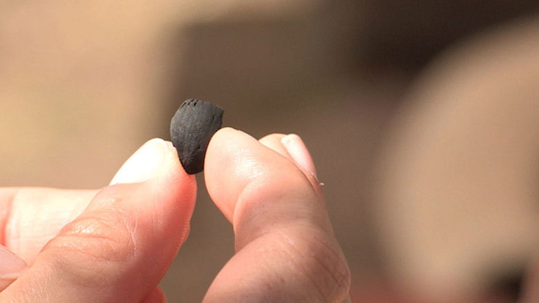 Still image for Sur nos traces season 1 episode 5: Episode 5