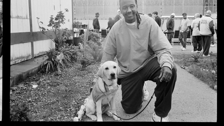 Gallery image from tfpd8F46rNFwiT7wW5KMEog3f56.jpg