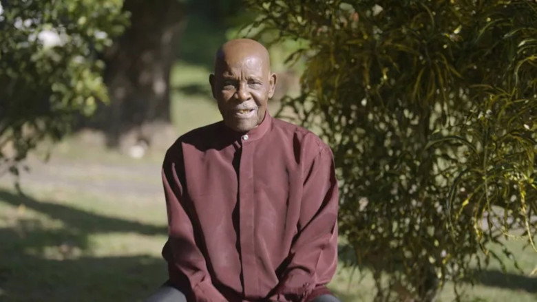 Imatge de Martinique, terre de centenaires