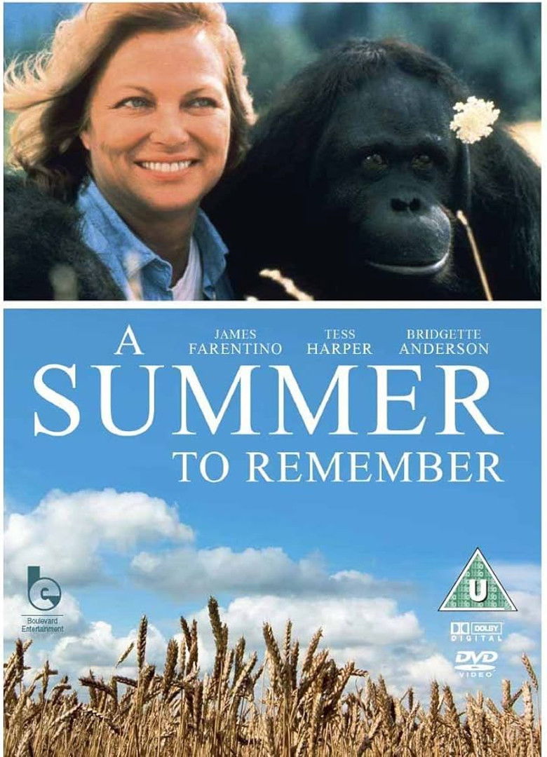 Imatge de A Summer to Remember