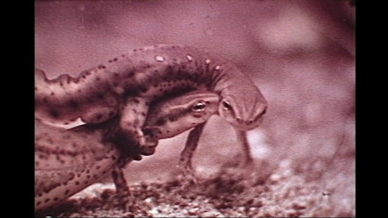 Gallery image from tggbkcIY4IsT0q9pYWOAl8oQfpf.jpg