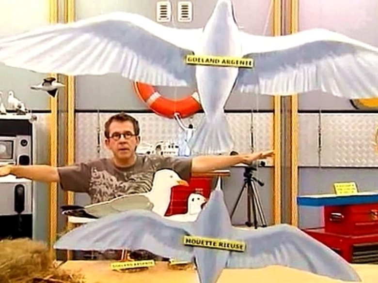 C'est Pas Sorcier Saison 2 épisode 23 [Watch] C'est pas sorcier Season 4 Episode 49 Episode 49 (2006) Full