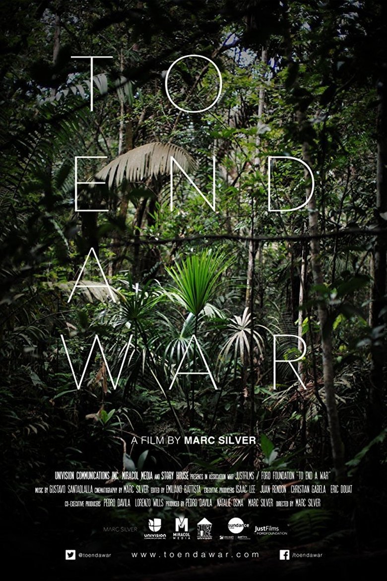 To End a War main poster