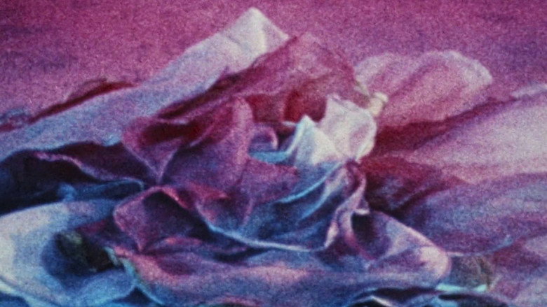 Pink Narcissus — scene 14