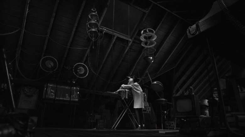 Frankenweenie (2012)