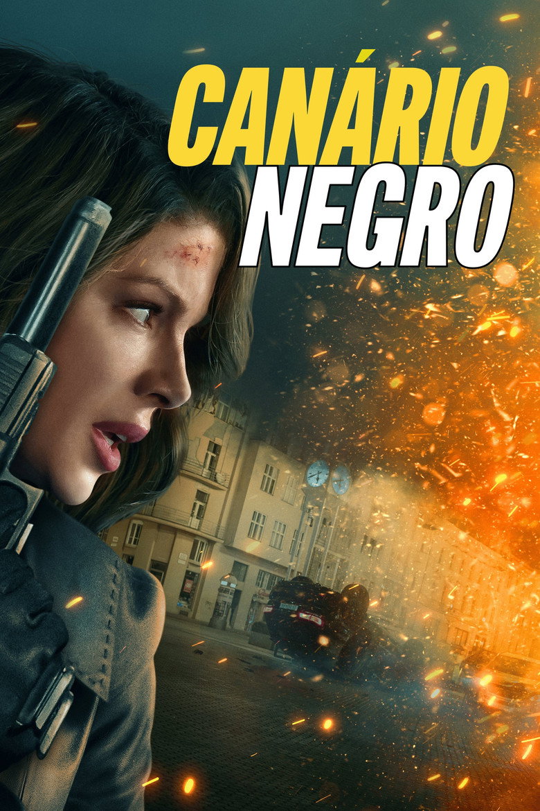 Póster la Película