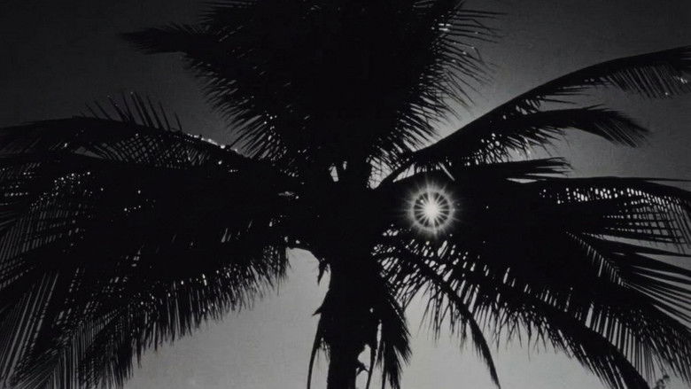 Gallery image from tiiwnbPCfI1leftHBZLcjvIiTjI.jpg