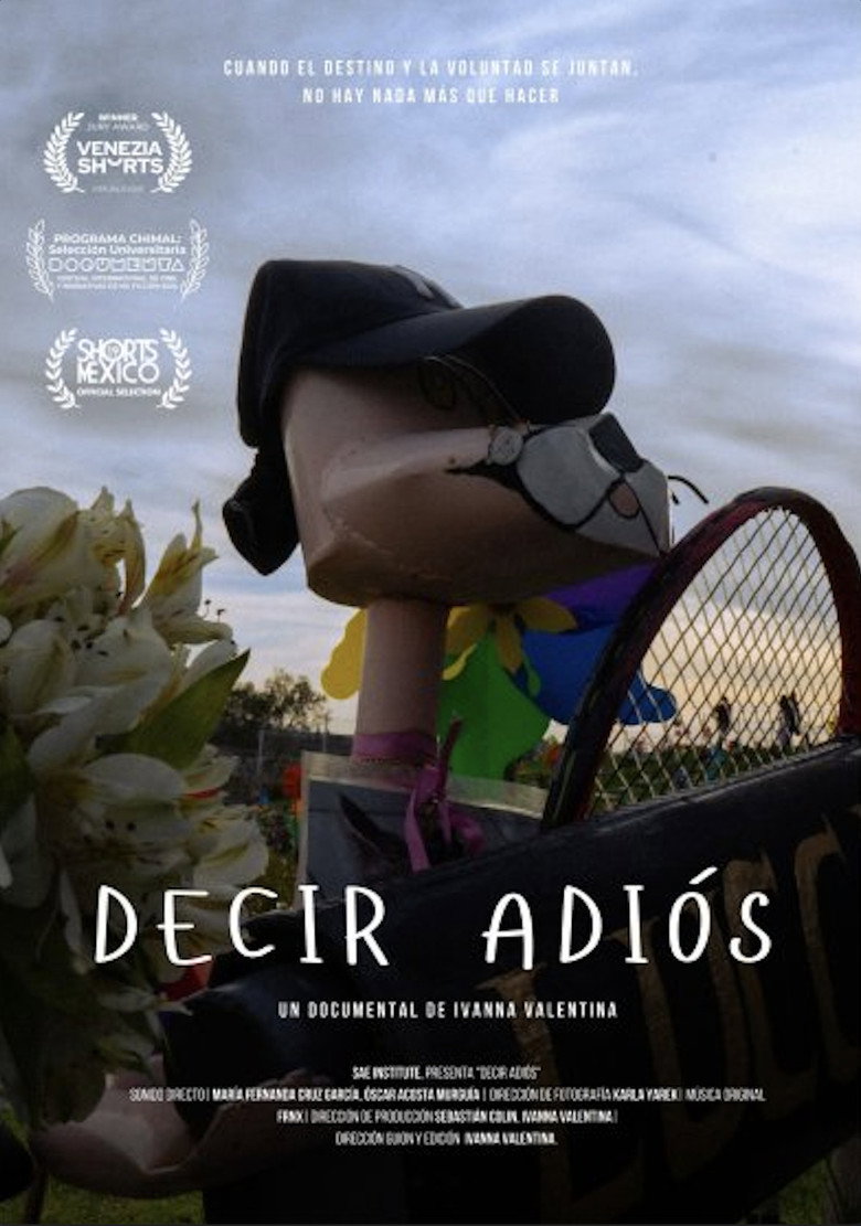 Imatge de Decir adiós