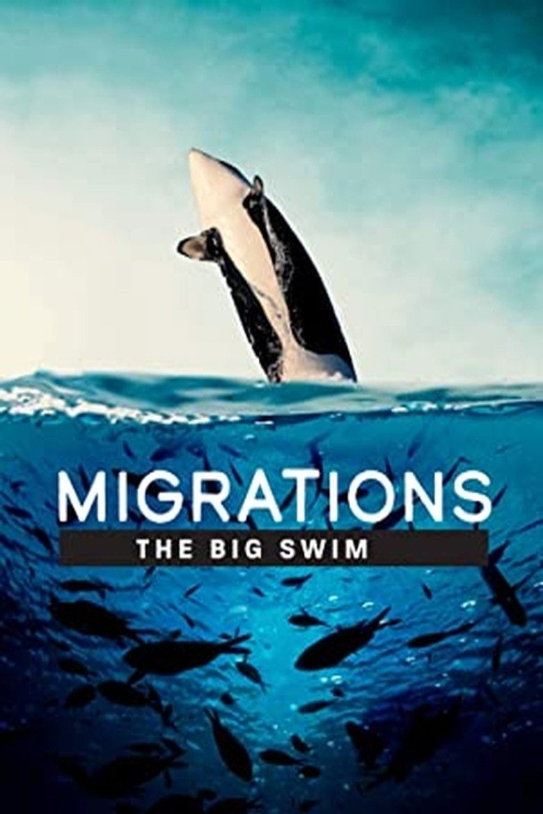 Imatge de Migrations: The Big Swim