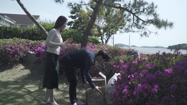 My Uncle's Wife (2017)