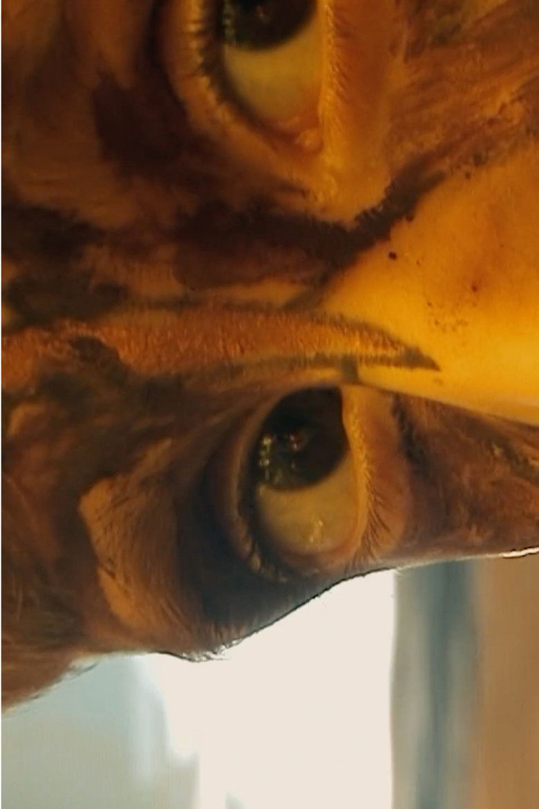 Imatge de Tempus Fugit