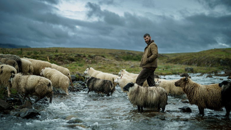 The Last Photograph backdrop 3