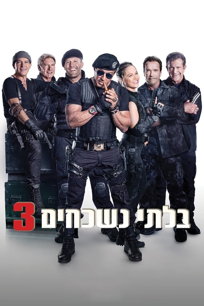 בלתי נשכחים 3 (2014)