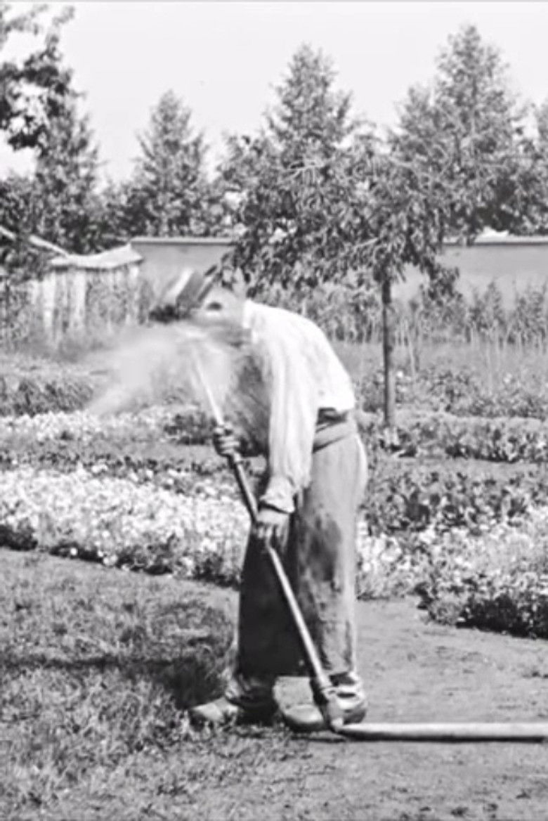 Imatge de Arroseur et arrosé