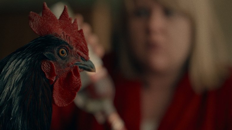 The Rooster main backdrop
