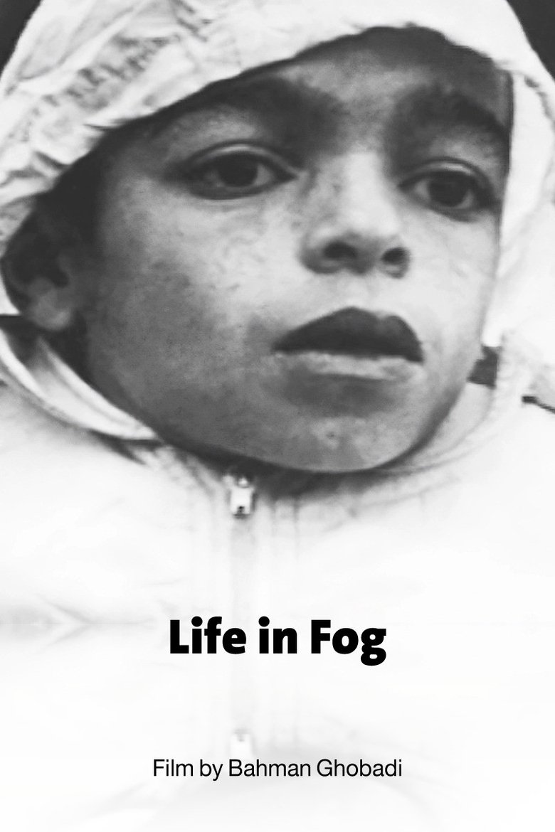 Life in Fog main poster