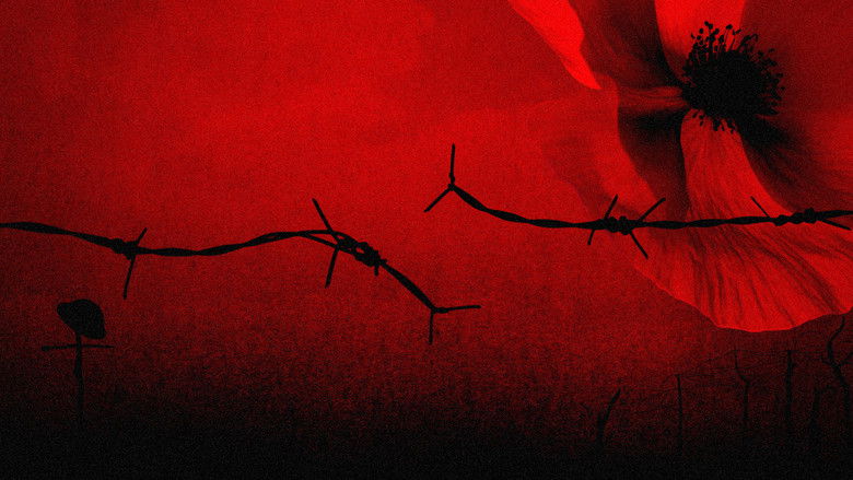 The Somme 1916: From Both Sides of the Wire