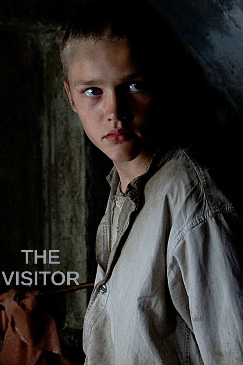 The Visitor (2008)