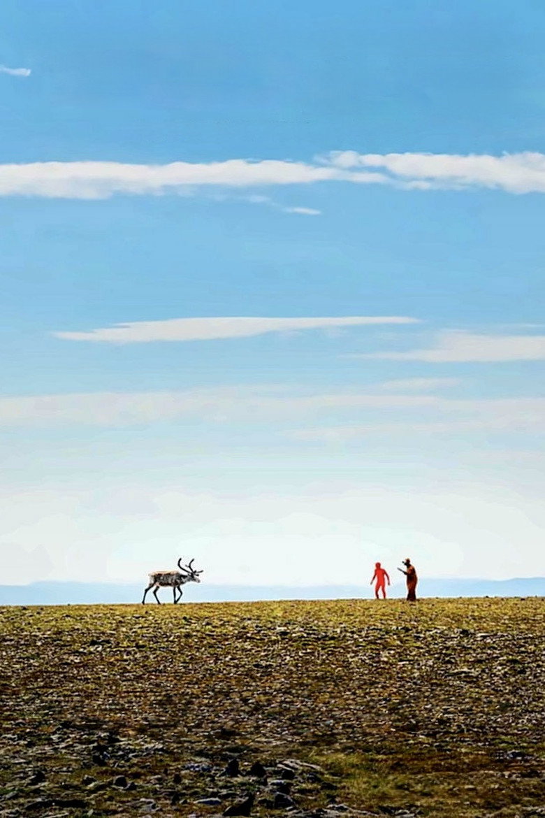 Imatge de I racconti dell'orso