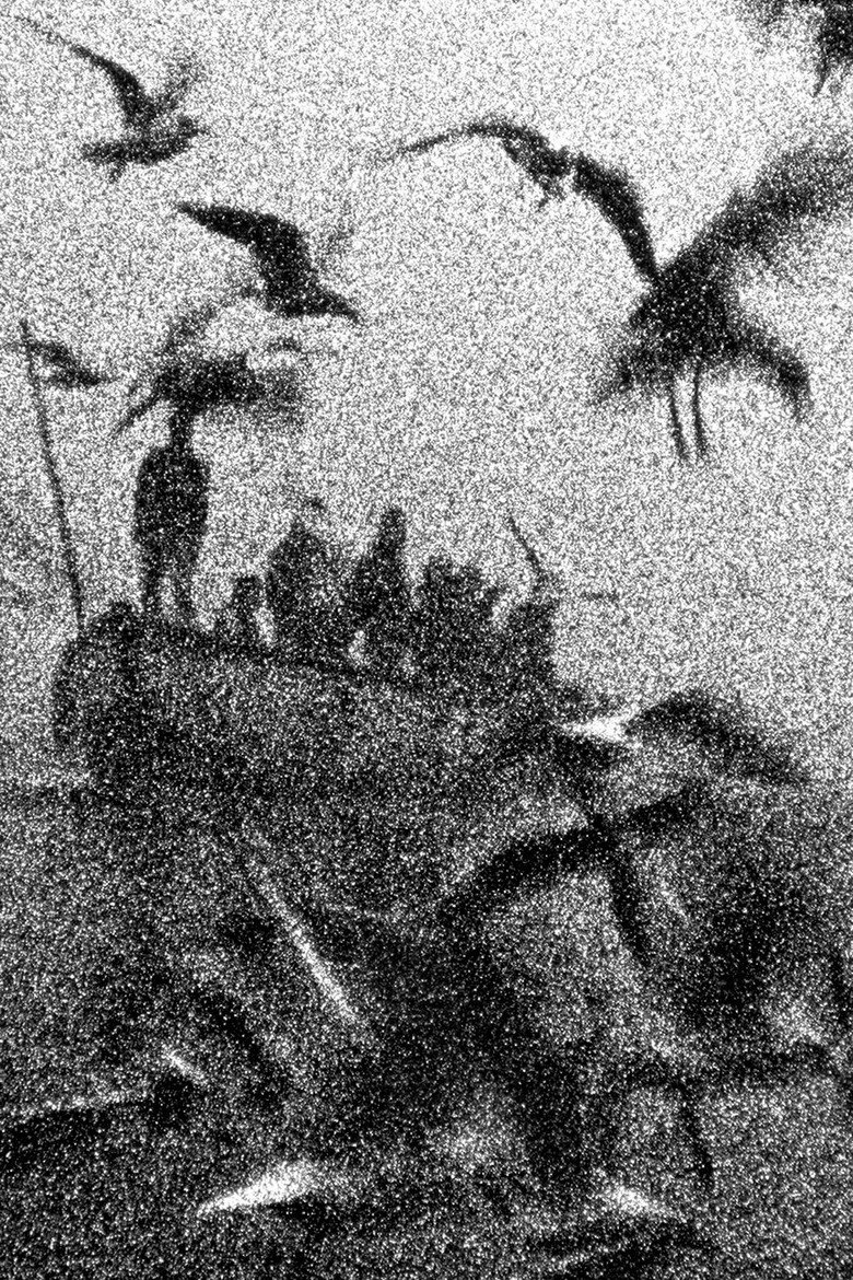 The Birds background