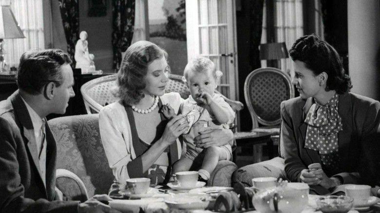 Imatge de Wienerbarnet