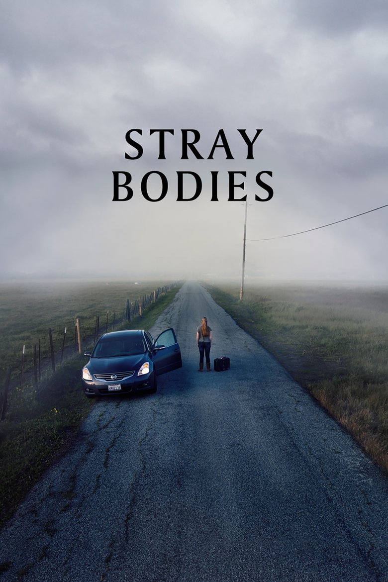 Stray Bodies main poster