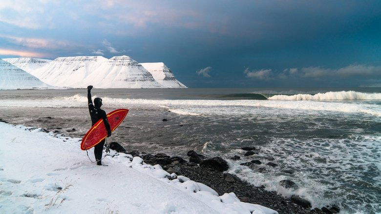 Schauen Under an Arctic Sky On-line Streaming